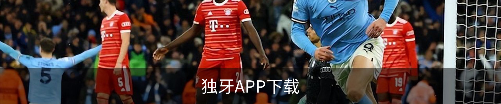 独牙APP下载 - 苹果版